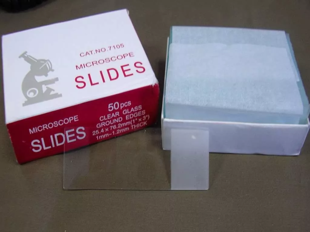Microscope Slide